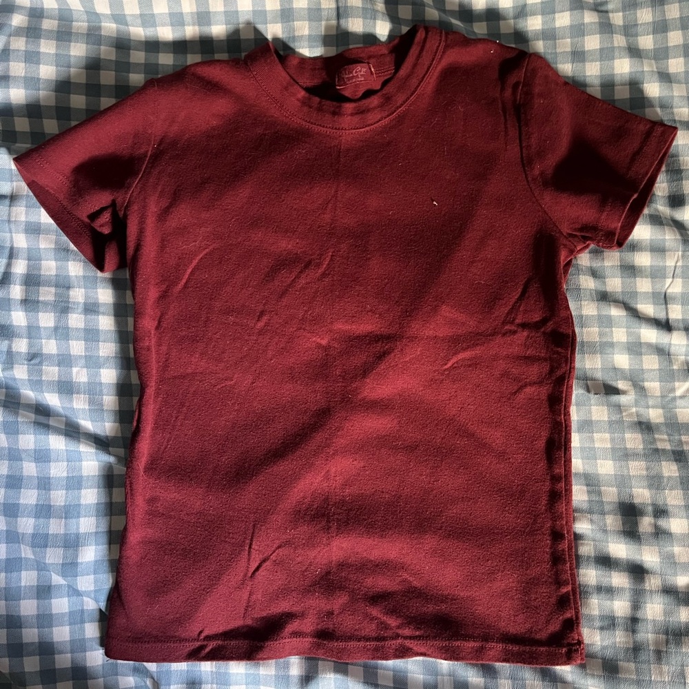 Brandy Melville Maroon Baby Tee